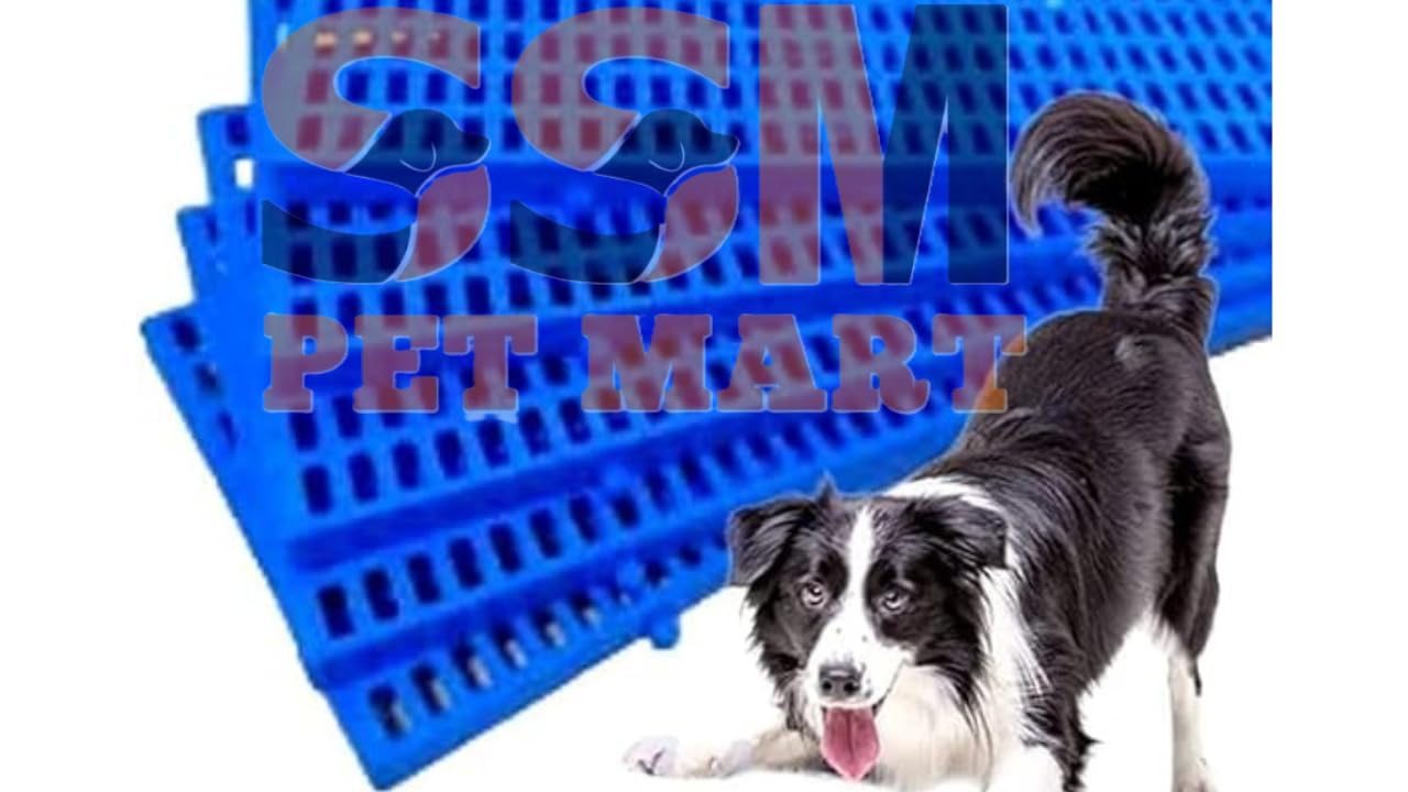 SSM PET MART Pet Plastic Floor Mat 36 x 12 Inch Heavy Duty Waterproof Flooring Bed Mat for Dogs/Cat/Rabbit/Goat (Blue, Pack of 1