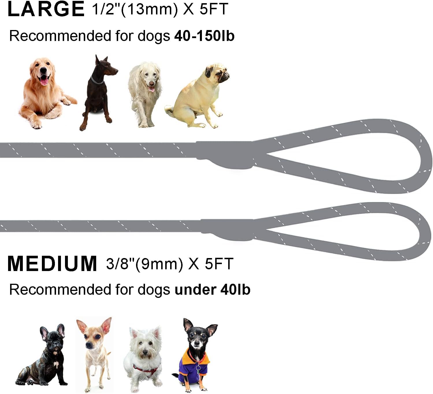 Slip Lead Dog Leash - 5Ft, 2 Sizes - Reflective Mountain Climbing Rope (Turquoise, 2/1)