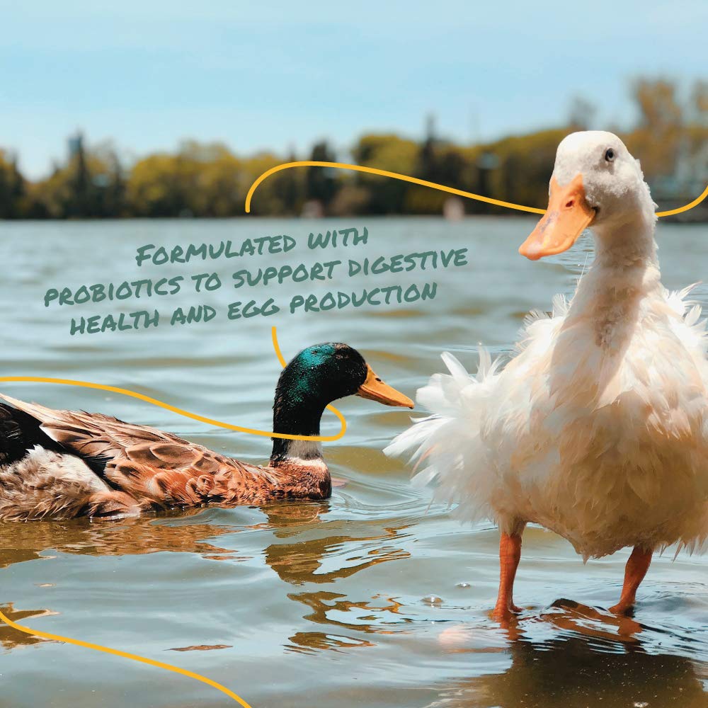 Manna Pro Duck Layer Pellet, High Protein for Increased Egg Production, Formulated with Probiotics to Support Healthy Digestion,
