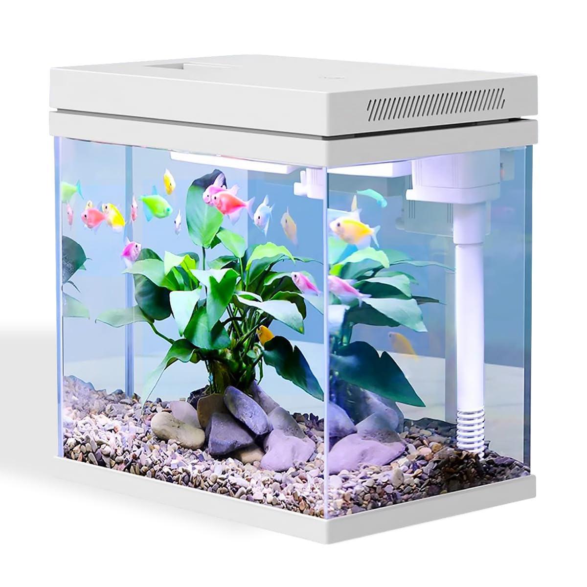 Craftsboys Fish Tank, 4 Gallon Nano-Aquarium, Upgrade Filter System And Led Light, For Freshwater & Marine, Filter Balls Include