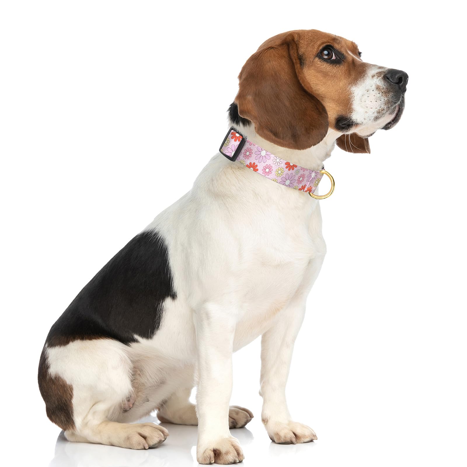 Rnivvi Dog Collar For Medium Dogs, Cute Heavy Duty Adjustable Puppy Collar With Quick Release Buckle For Girl & Female, Pet Acce