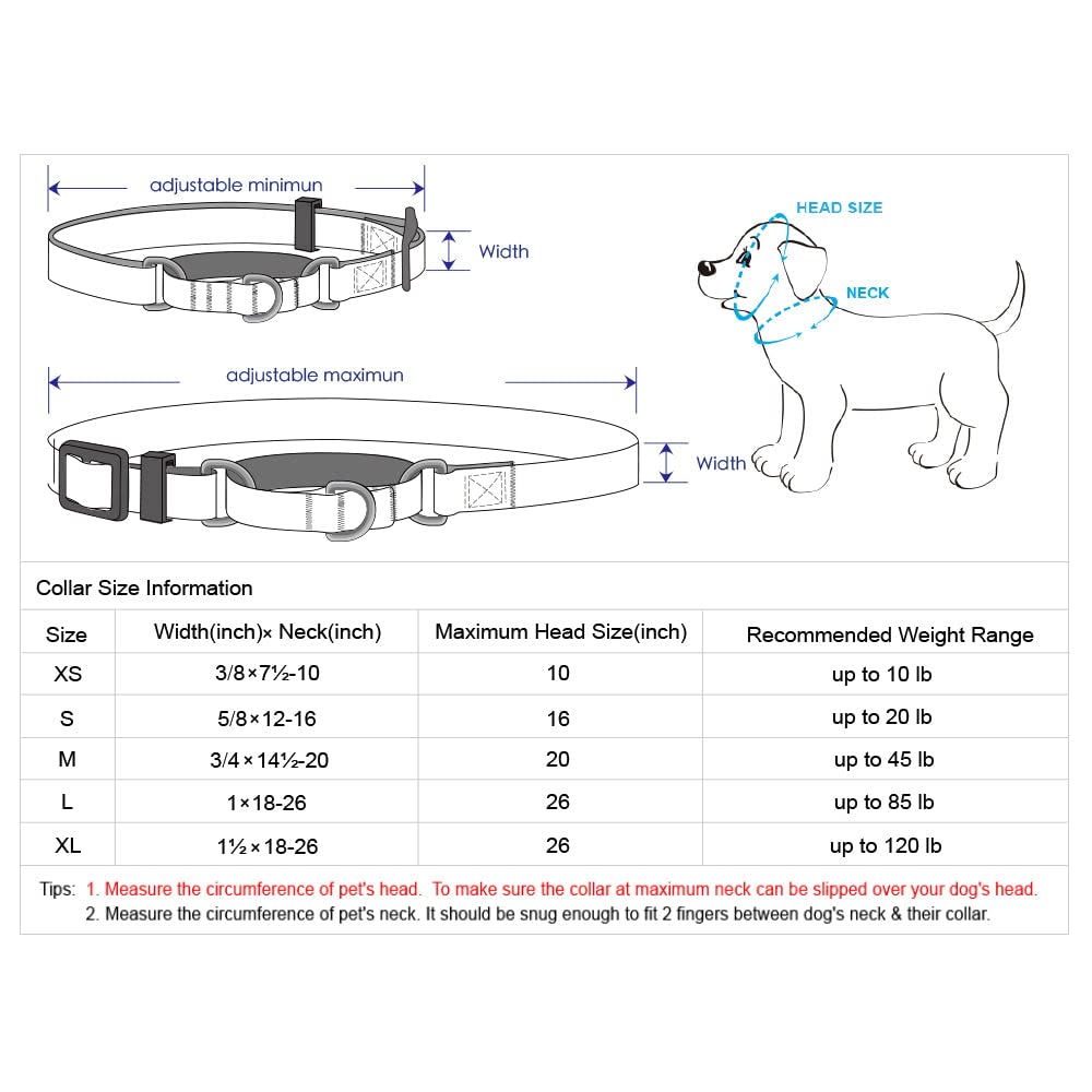 Blueberry Pet Essentials Martingale Safety Training Dog Collar, Fired Brick, Large, Heavy Duty Nylon Adjustable Collars For Dogs