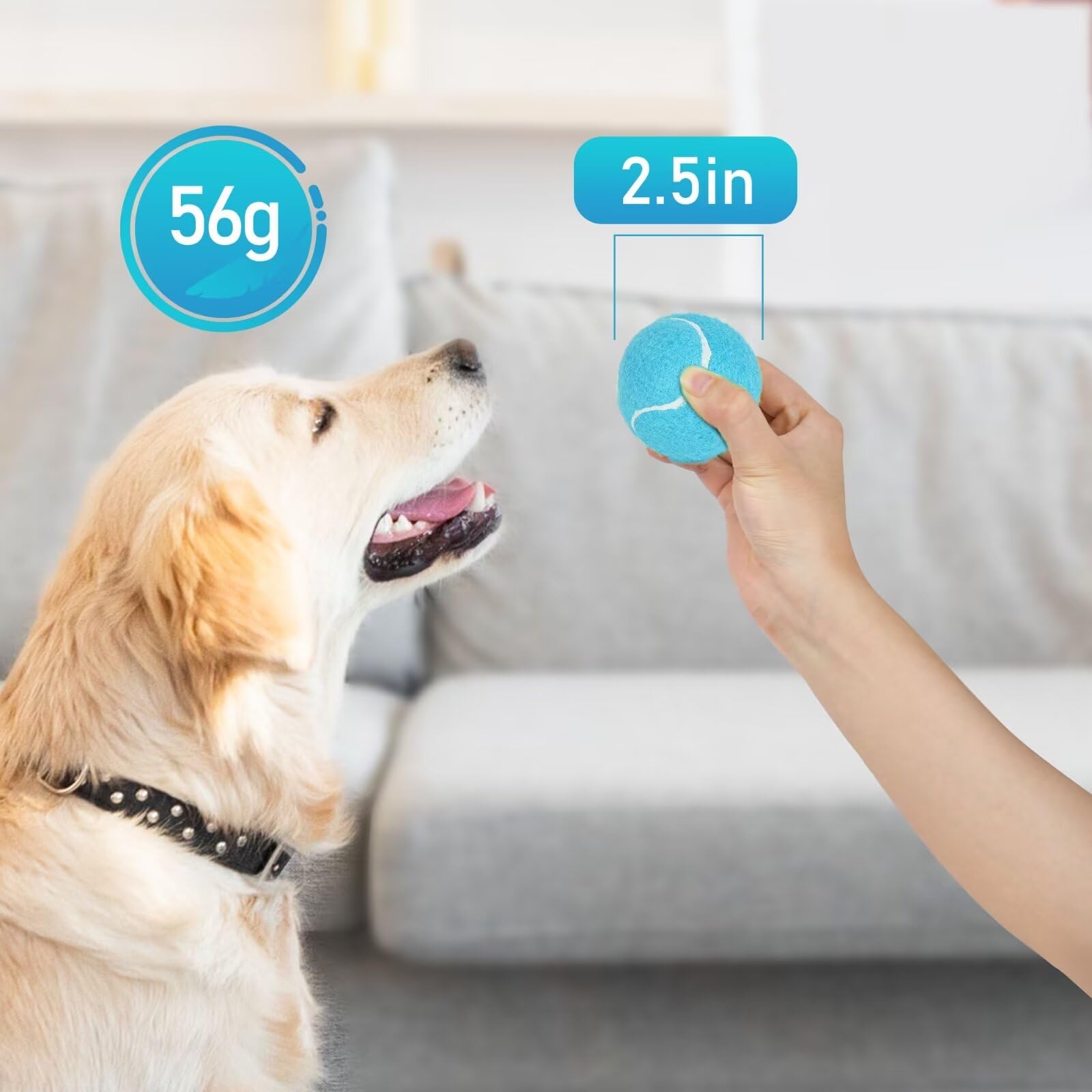 Primepets Squeaky Balls For Dogs, 2.5 Inch Dog Squeaky Toys, Interactive Dog Toy Tennis Balls For Indoor Outdoor, Squeak Toys Fo