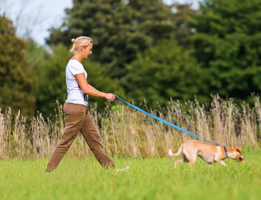 Taglory Nylon Dog Leash 6Ft, Soft Padded Handle Pet Reflective Leashes For Medium Large Dogs Walking & Training, Sky Blue