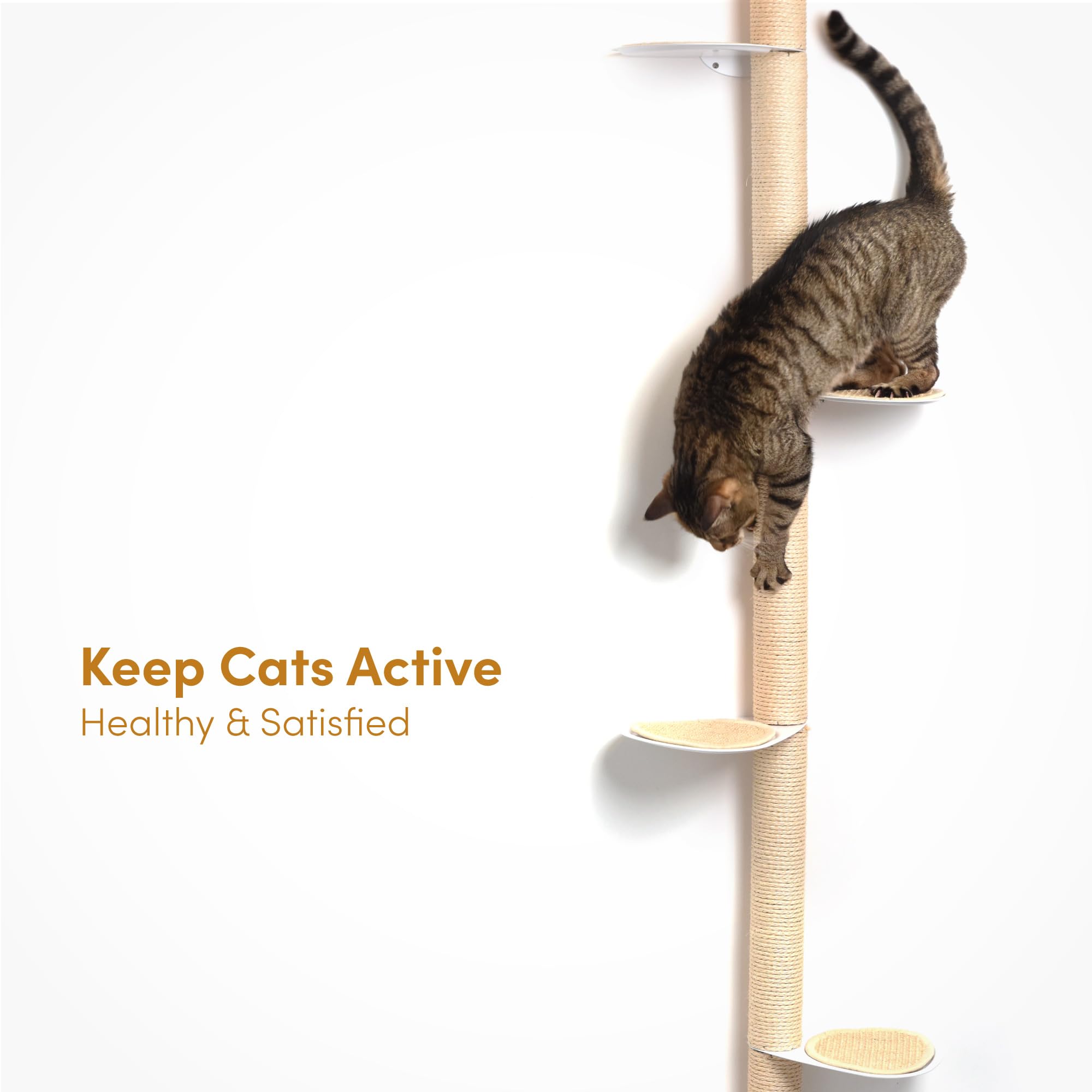 Xympo 68 Tall Wall-Mounted Cat Tree - Modern Space-Saving Cat Shelf With Sisal Scratching Post & Steel Climbing Steps - Stylis