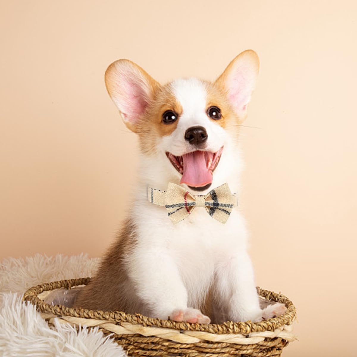 Superbuddy Dog Collar, Adjustable Dog Collar With Bowtie, Pet Collar For Dog Soft Bowtie Dog Collars For Small Medium Large Pet