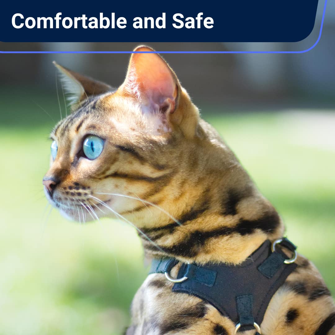 Houdini™ Escape Proof Cat Harness And Leash Set By Outdoorbengal For Walking Cats And Kittens (Soft Mesh, Large Cat)