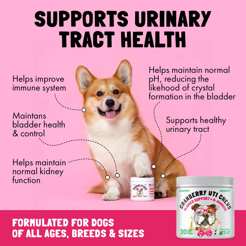 Cranberry UTI Chews for Dogs Bladder Support + D-Mannose Supports Kidney Urinary Tract and Bladder Health Natural Cranberry Well