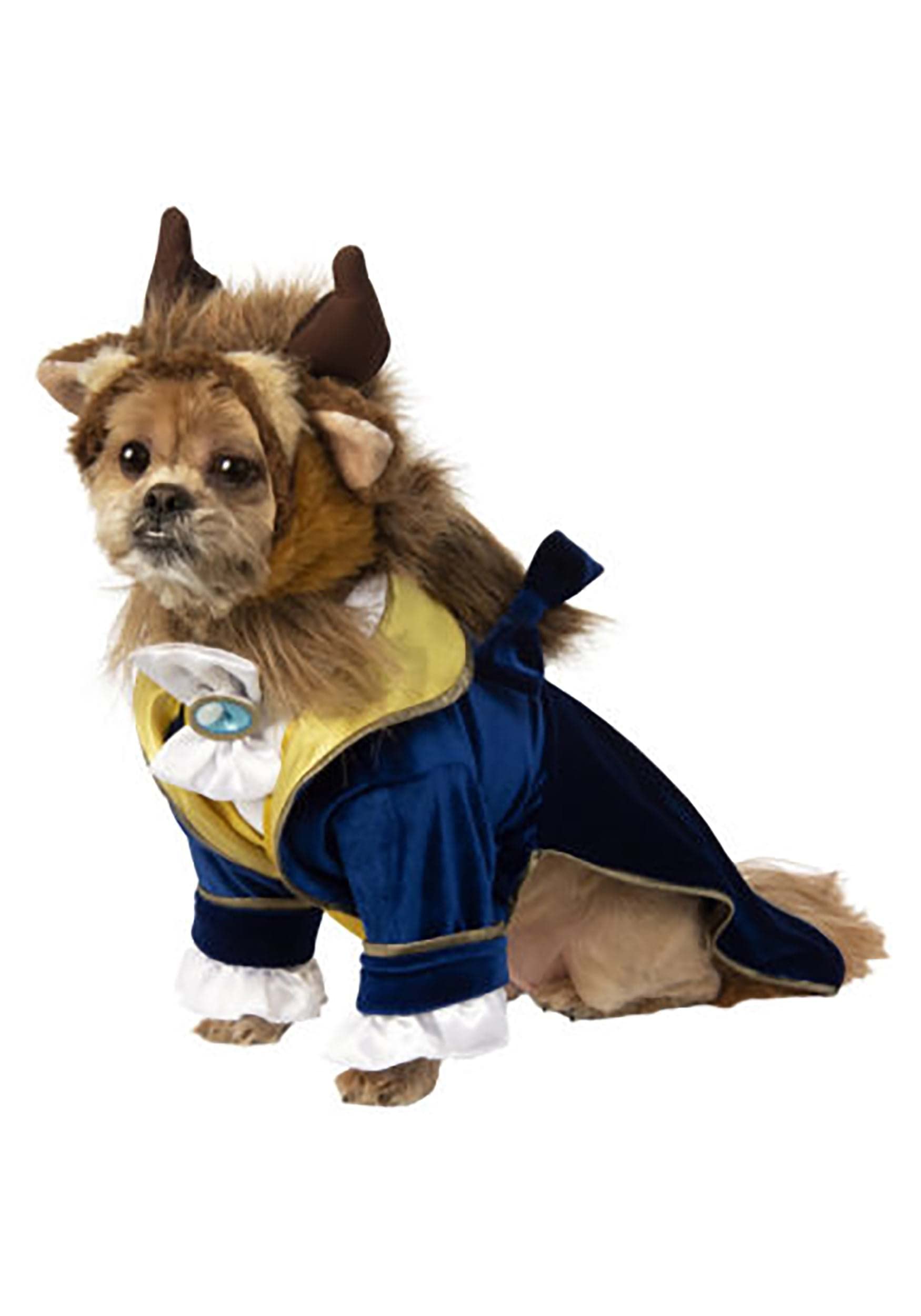 Rubies Disney Beauty & The Beast Pet Costume, Medium, Beast Color, Model 200646_M for Themed Parties and Halloween