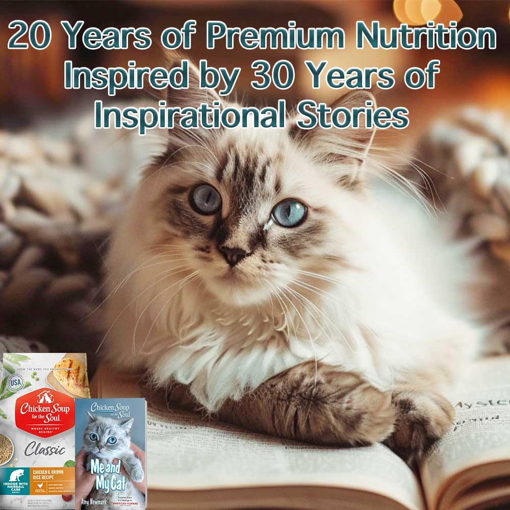 Chicken Soup for the Soul All Natural Premium Indoor w/Hairball Care Adult Dry Cat Food, Real Meat First Ingredient, No By-Produ