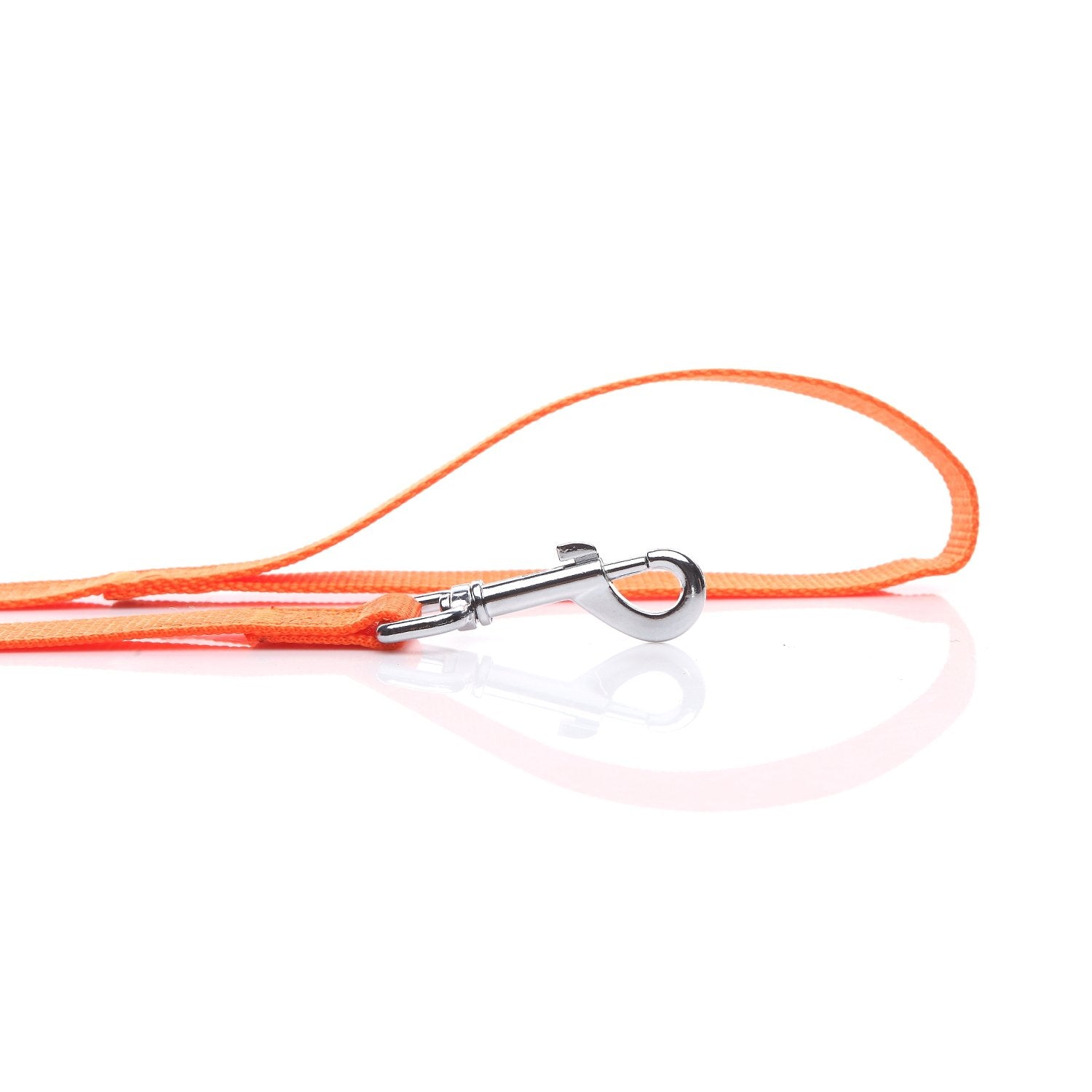 Nylon Dog Leash 12 Feet Long, Walking Training Dog Leashes For Medium Large Dogs(1'' X 12 Ft, Orange)