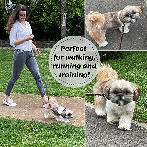 Adityna - Premium Leather Dog Leash - 6 Ft, Heavy-Duty, Soft & Strong For Small/Medium Dogs - Perfect For Walking, Training, Hik