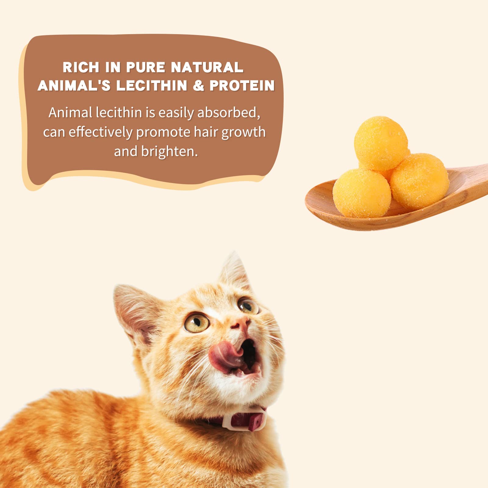 Dancing Tail Freeze Dried Cat and Dog Treats, Quail Egg Yolk, 8.8 Ounce, Limited Ingredient Healthy Snacks for Training