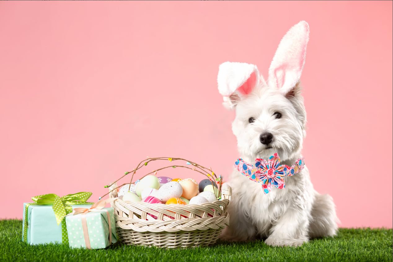 Lionet Paws Easter Dog Collar With Flower,Pink Dog Collar With Colorful Egg Flower For Girl Dogs, M, Neck 13.5-22 In