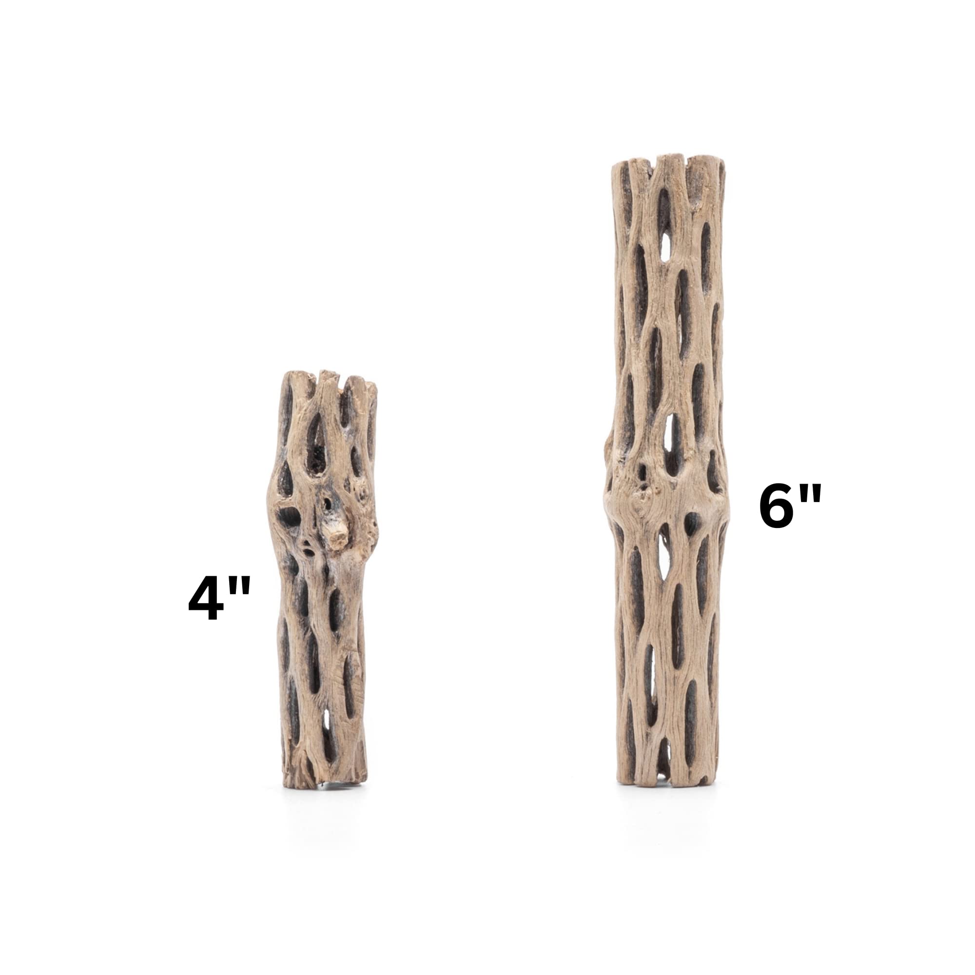 SubstrateSource Natural Cholla Wood Logs - Driftwood for Aquariums, Fish Tanks, Shrimp, Hermit Crabs, Reptiles - 4 and 6 Inch Pi