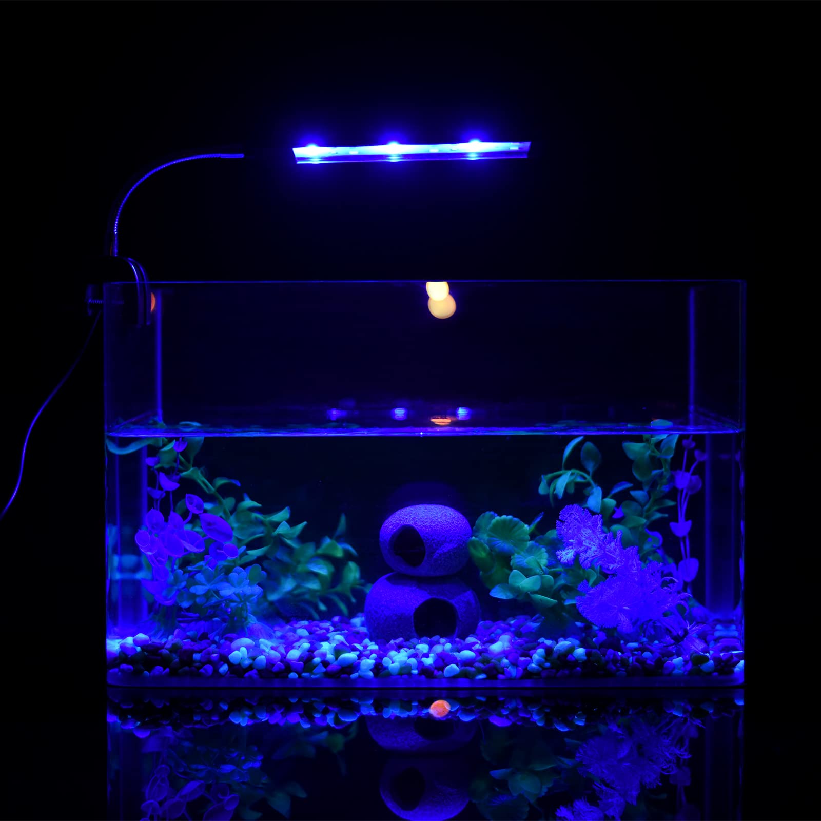 Aquarium Light For Fish Tank Clip On Led Fish Tank Light For 5 Gallon, Aquarium Light For Plants With Timer And Dimmer, White Blue Red Leds 7W