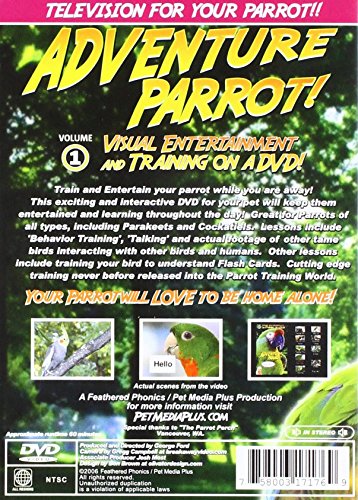 Feathered Phonics Adventure Parrot Dvd Volume 1: Speak And Read Via Television
