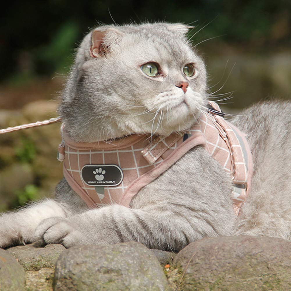 FEimaX No Pull Dog Harness and Leash Set, Soft Padded Pet Plaid Vest Harness for Small Medium Dogs and Cats, Reflective Ajudstab