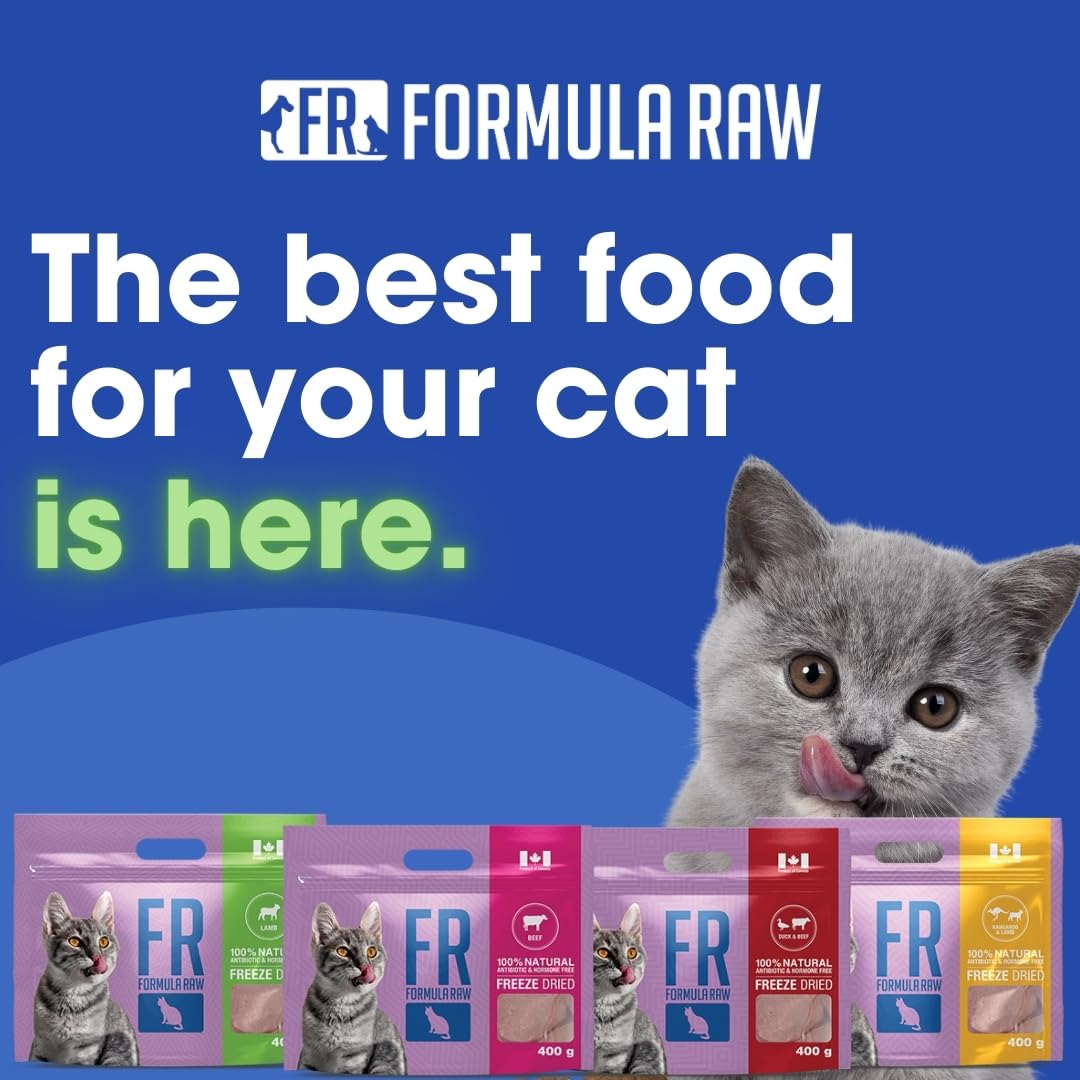 Formula Raw Freeze-Dried Raw Cat Food - Lamb Formula, High Protein, Grain-Free, Whole Ingredients, No Additives, Meal Mixer or T