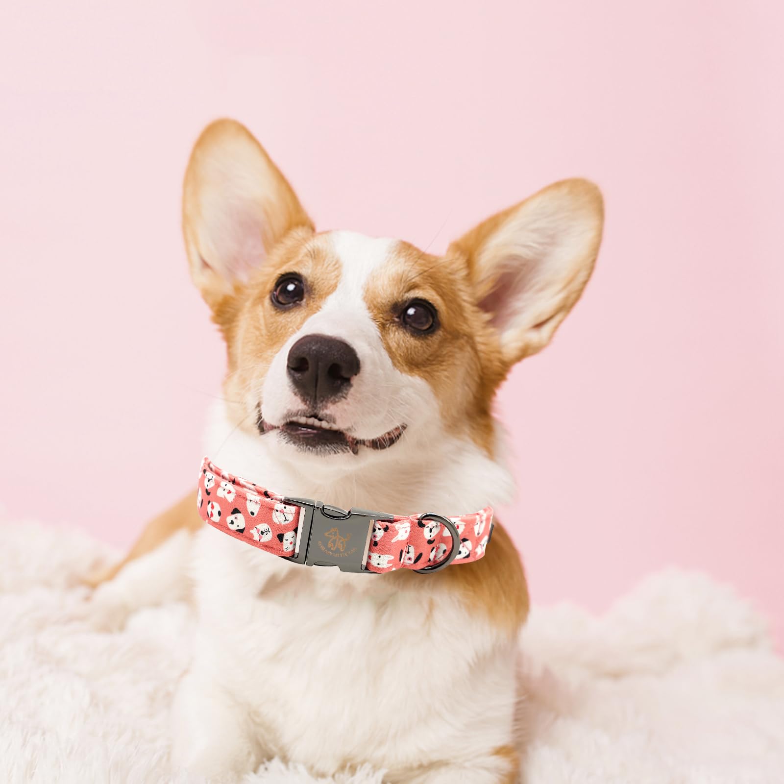 Elegant Little Tail Pink X-Small Dog Collar, Unique Design with Matching Bow, Cotton, Standard Collar, Extra Small Dogs