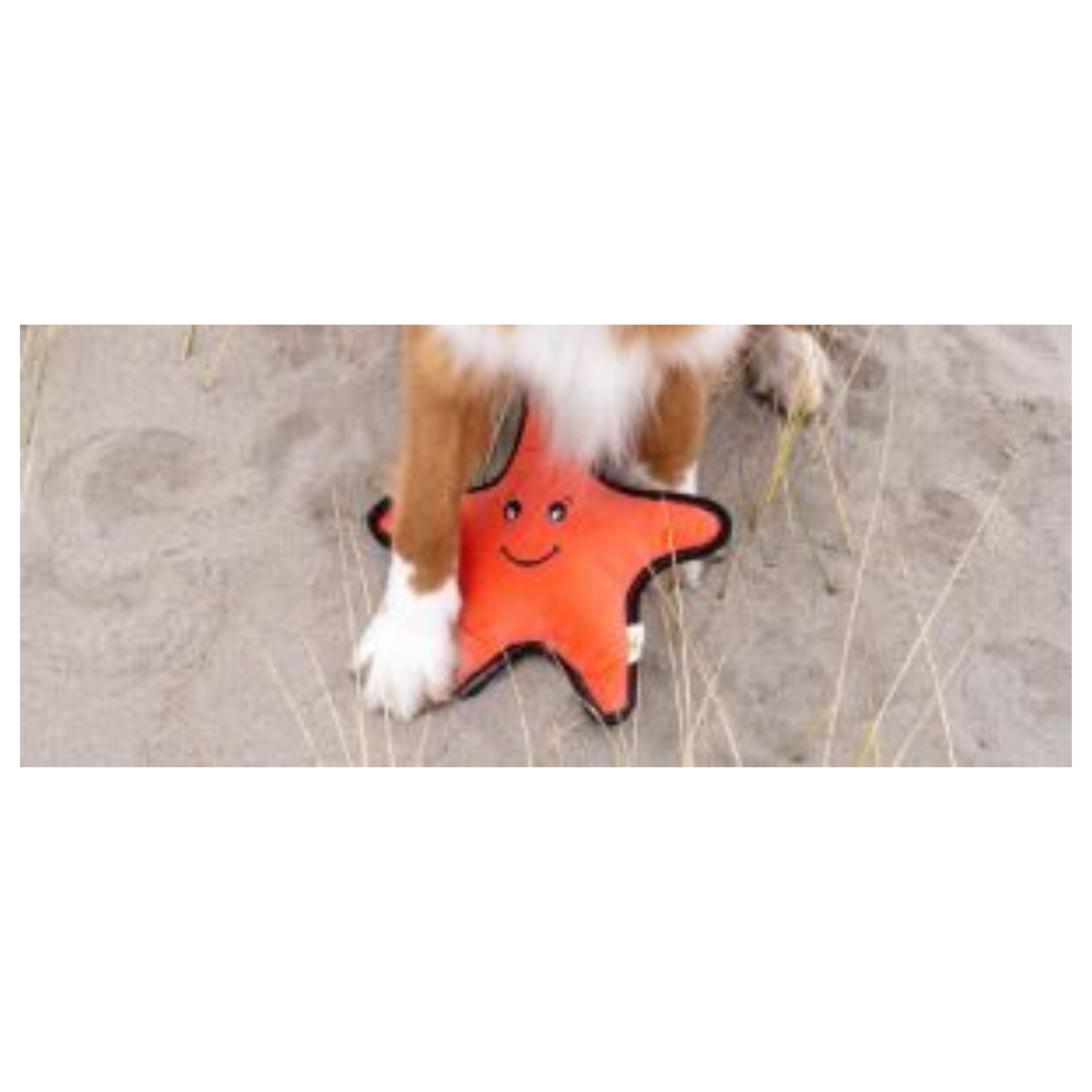 Beco Starfish Friend Soft Squeaker Dog Toy Made with Recycled Materials, Double Stitched & Layered, Medium for All Dog & Puppy S