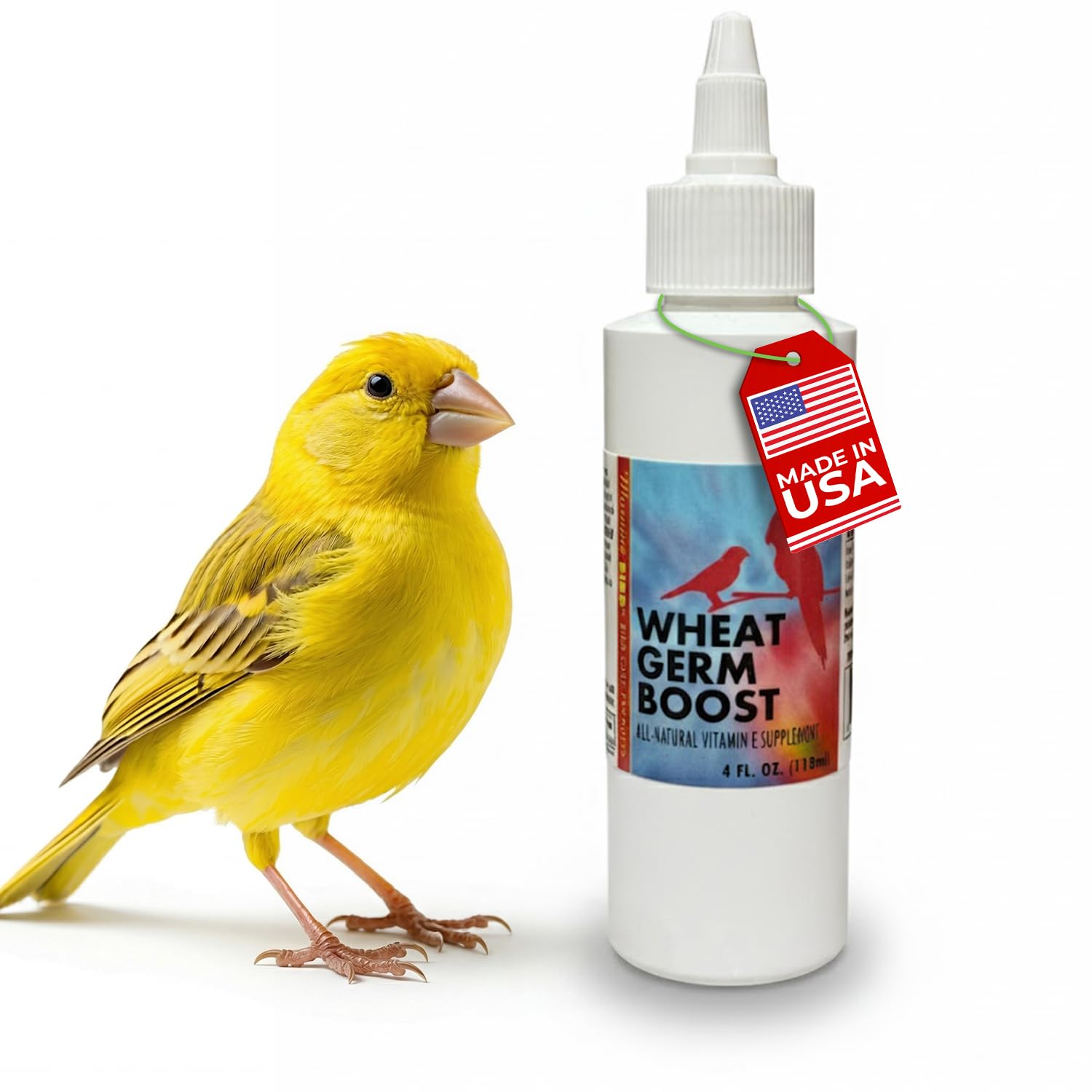 Morning Bird Wheat Germ Boost 4 fl oz - Organic Oil Supplement for Birds - Natural Breeding Aid - Rich Vitamin E Supports Energy