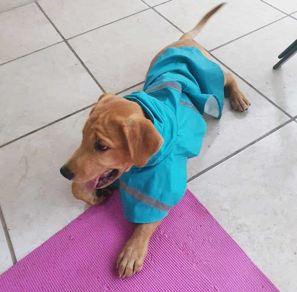 Hapee Dog Raincoats For Large Dogs With Reflective Strip Hoodie,Rain Poncho Jacket For Dogs C3-Lake Blue