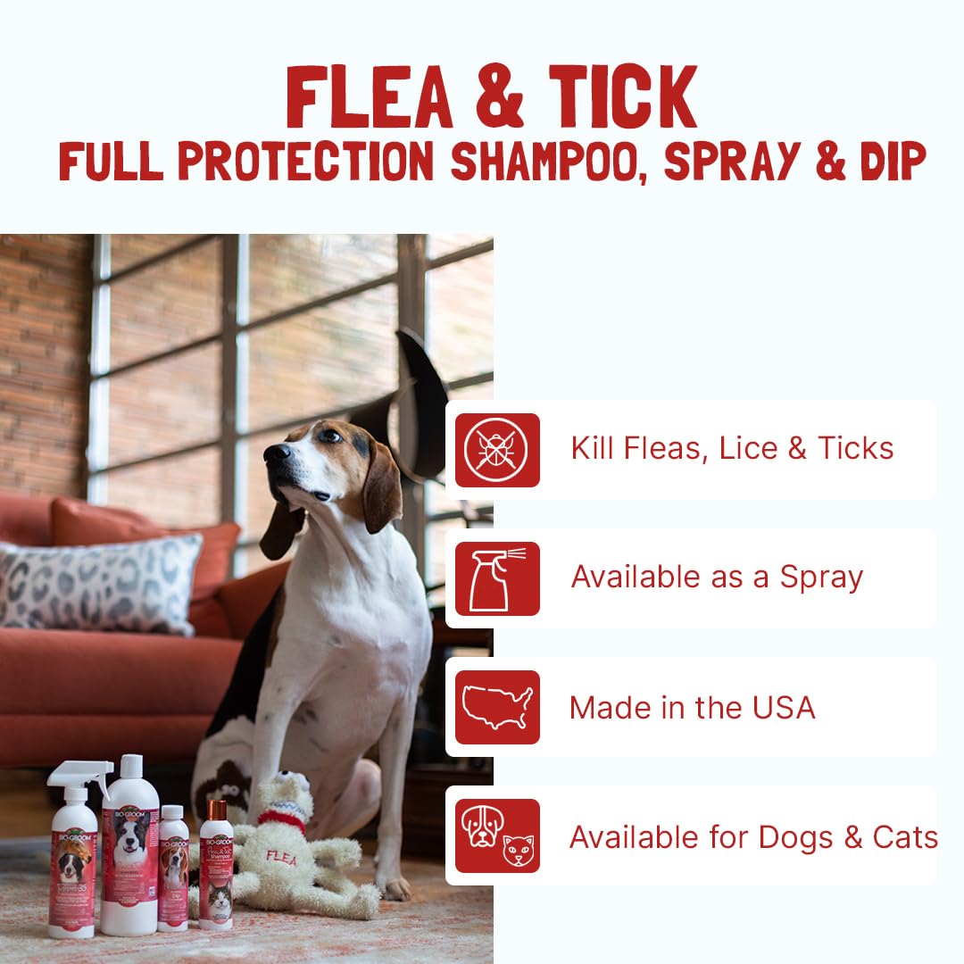 Bio-Groom Flea & Tick Dog Shampoo - Flea And Tick Prevention For Dogs, Cat Flea Treatment, Cruelty-Free, Made In Usa, Natural Ti