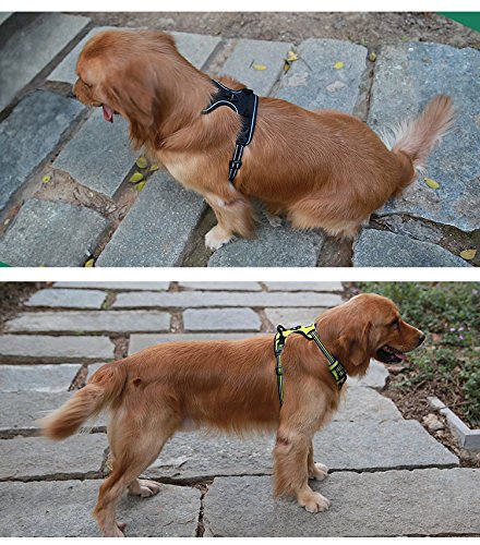 Juxzh Soft Front Dog Harness .Best Reflective No Pull Harness With Handle And 2 Leash Attachments Royal Blue