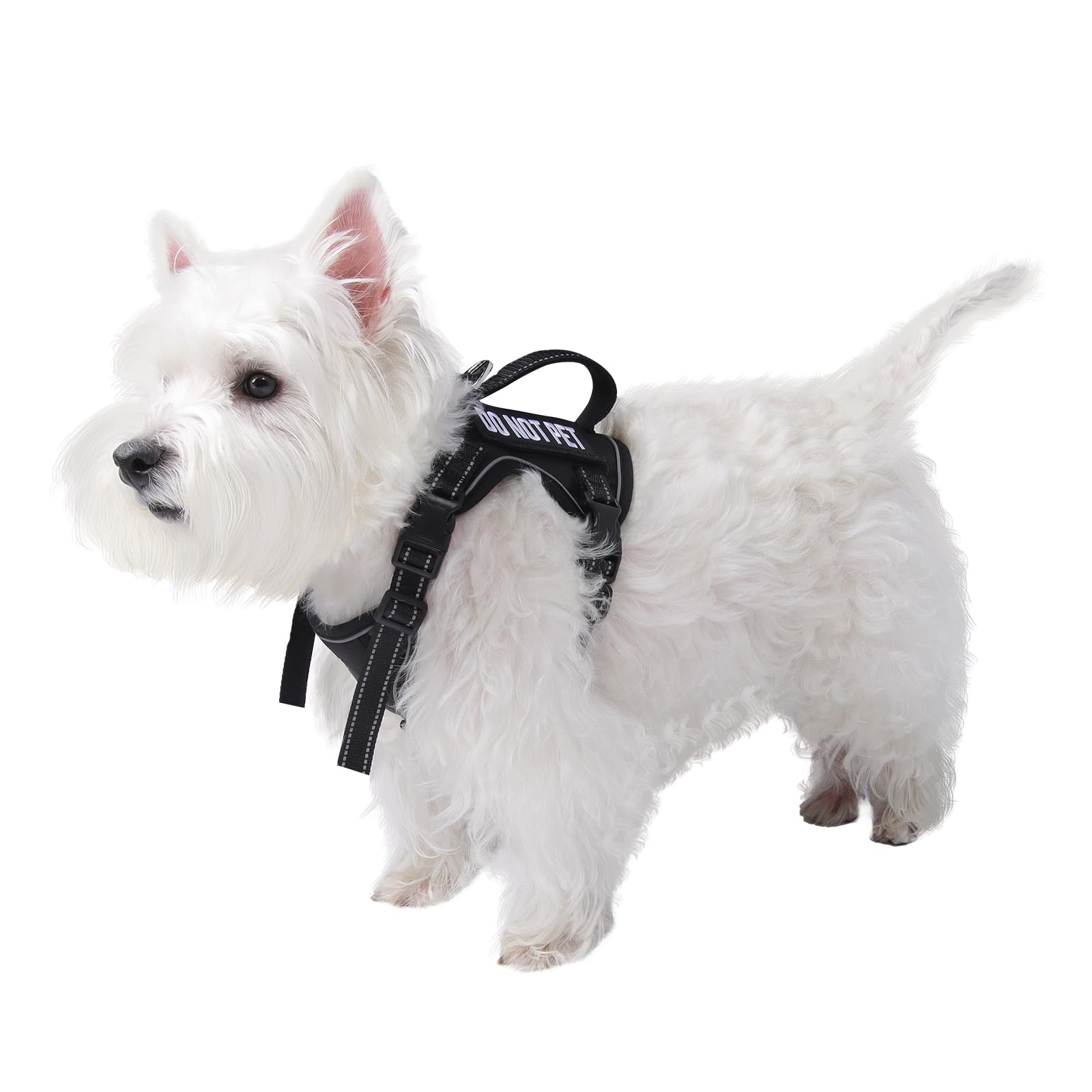 Tactical Dog Harness Tactical Puppy Vest With Rubber Handle K9 Military Adjustable Pet Vest Harness For Outdoor Training Xs Dog 