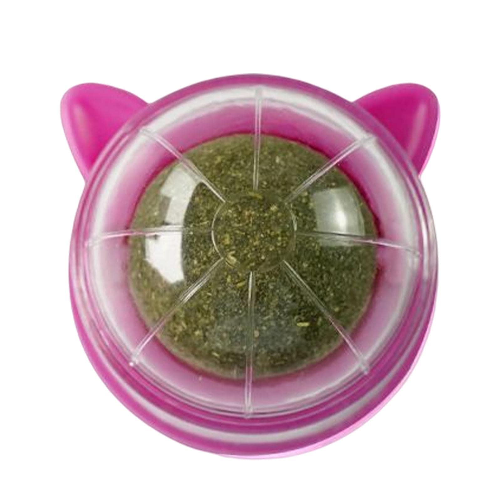 Enakshi Catnip Ball Toys Teething Toy Snack Pet French Windows With Lid Chew Cat Toy Style T | Pet Supplies | Cat Supplies | Toy