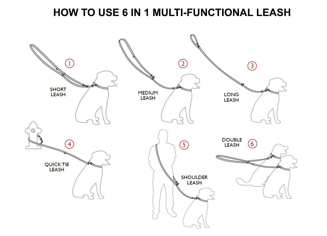 Dogs My Love 1.25 Wide Cotton Web 6-Way European Multi-Functional Dog Leash, Adjustable Lead 45-78 Long, Xlarge (Beige)