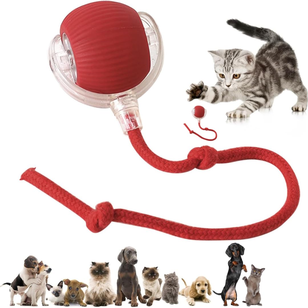 Interactive Electric Automatic Rolling Moving Rechargeable Self Play Stimulation Toy,Smart Pet Chase Ball With Speedy Tail Rope 
