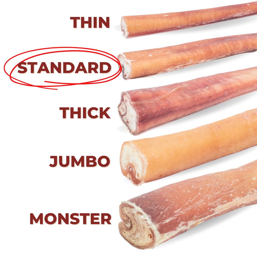 Bully Bunches Premium 12 Inch Thick Odor-Free Bully Sticks for Medium & Large Dogs - Long Lasting Chews for Oral Care - All Natu