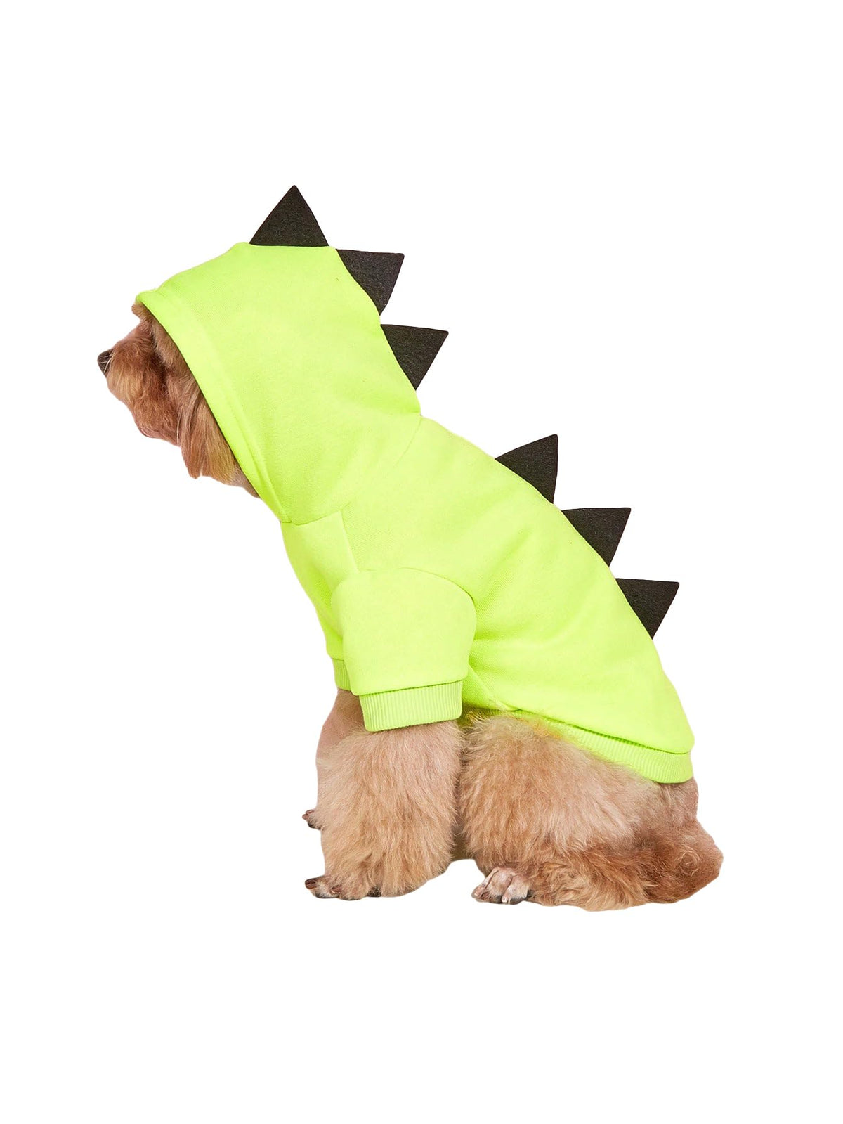 Qwinee Dinosaur Dog Hoodie Dog Warm Jacket Christmas Halloween Dog Costume Dog Clothes For Puppy Kitten Small Medium Dogs Cats Green S