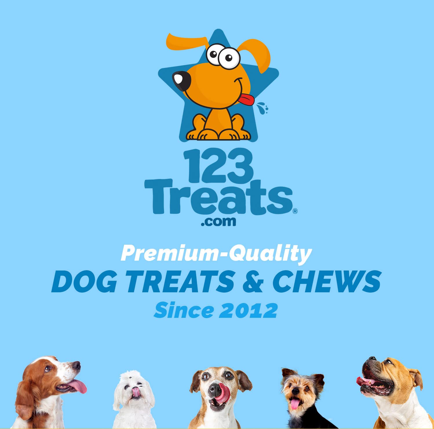 123 Treats Pig Ears Strips for Dogs - (16 Ounce) 100% Natural, Long Lasting & Highly Digestible Chew Treats, Single Ingredient,