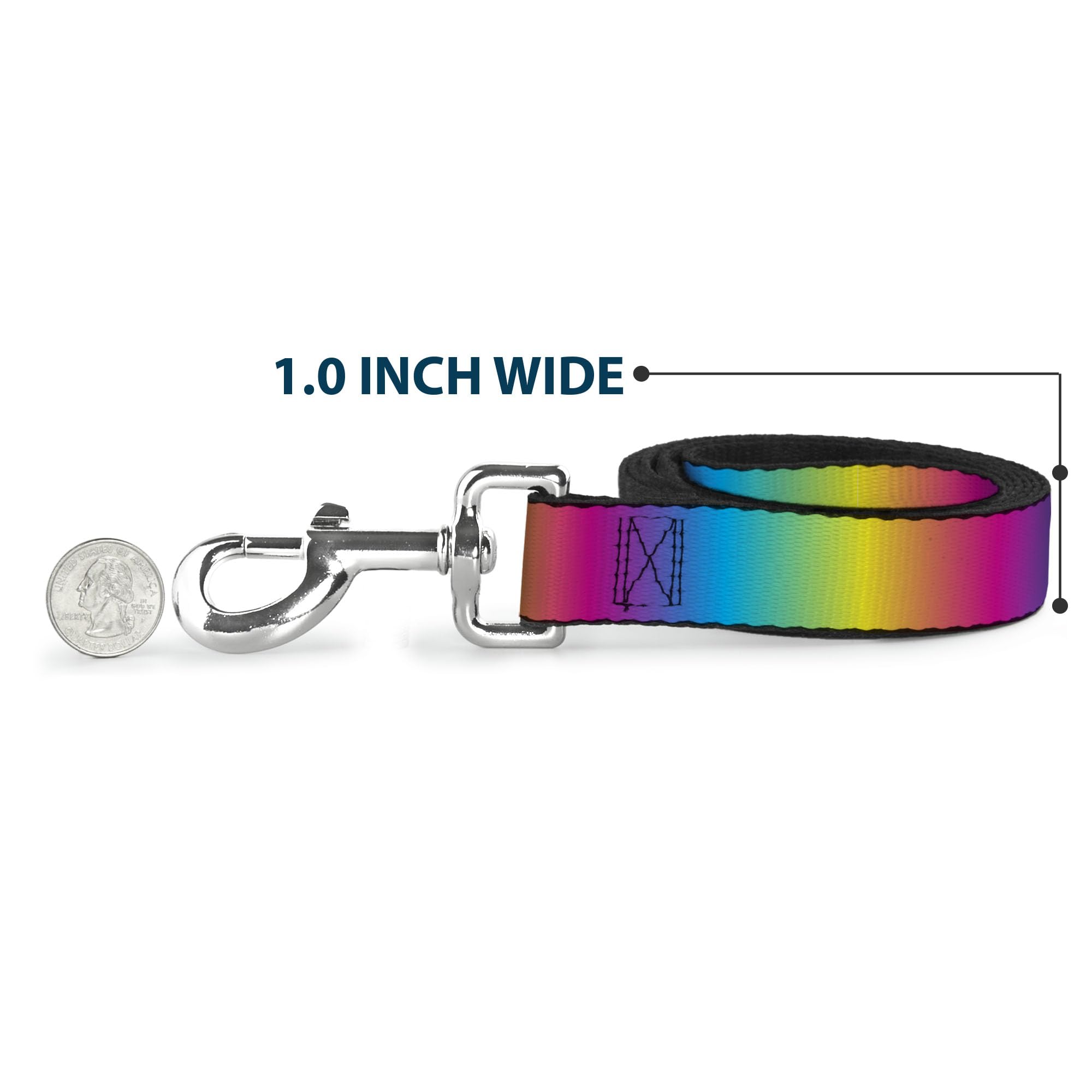 Buckle-Down Pet Leash - Rainbow Ombre - 4 Feet Long - 1.5 Wide