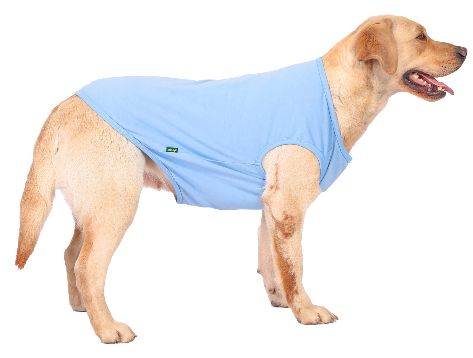 Sychien Dog Blank Blue Shirt,Boy Girl Dogs Large Tee Shirts,Plain French Bulldog T-Shirt,L Blue Royal
