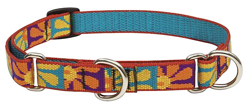 Lupinepet Originals 3/4' Crazy Daisy 14-20' Martingale Collar For Medium And Larger Dogs