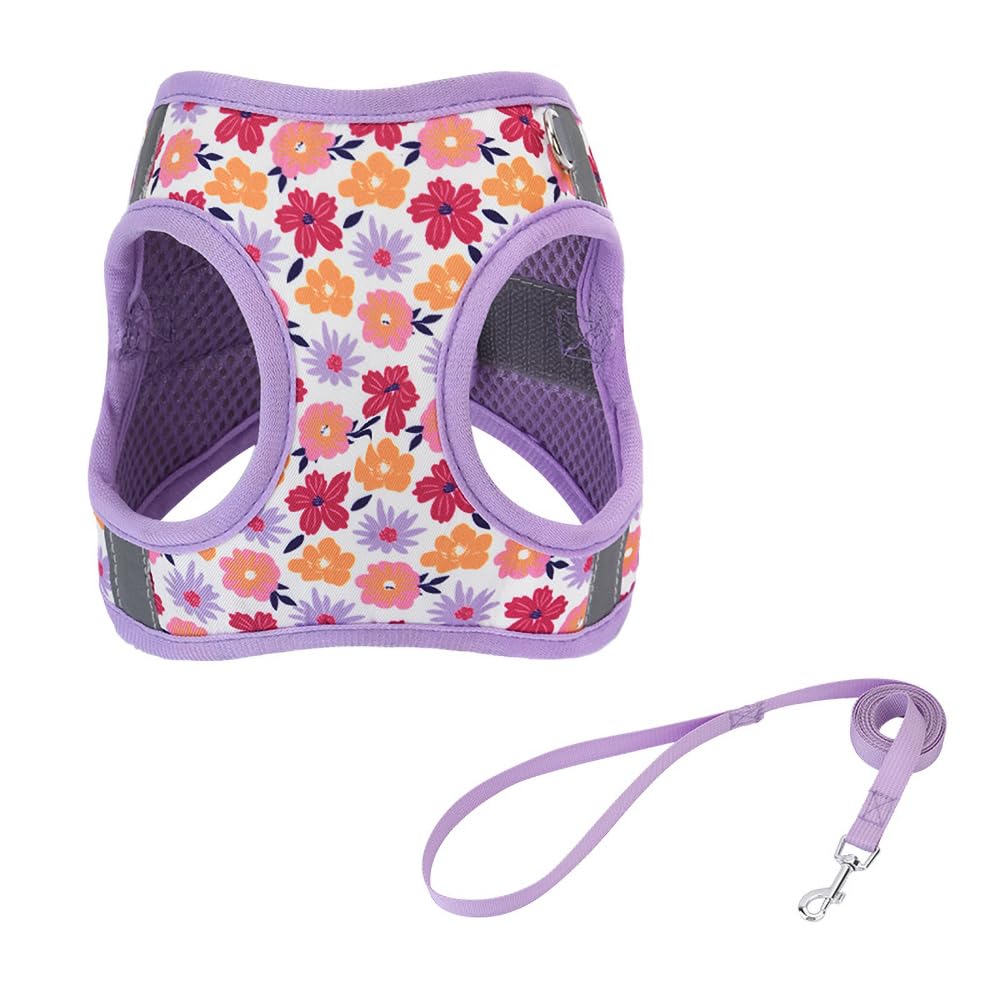 Step in Dog Harness and Leash Set, Flower Adjustable Easy Walk Puppy Harnesses, Soft Mesh No Pull Pet Vest Harness for Small Med