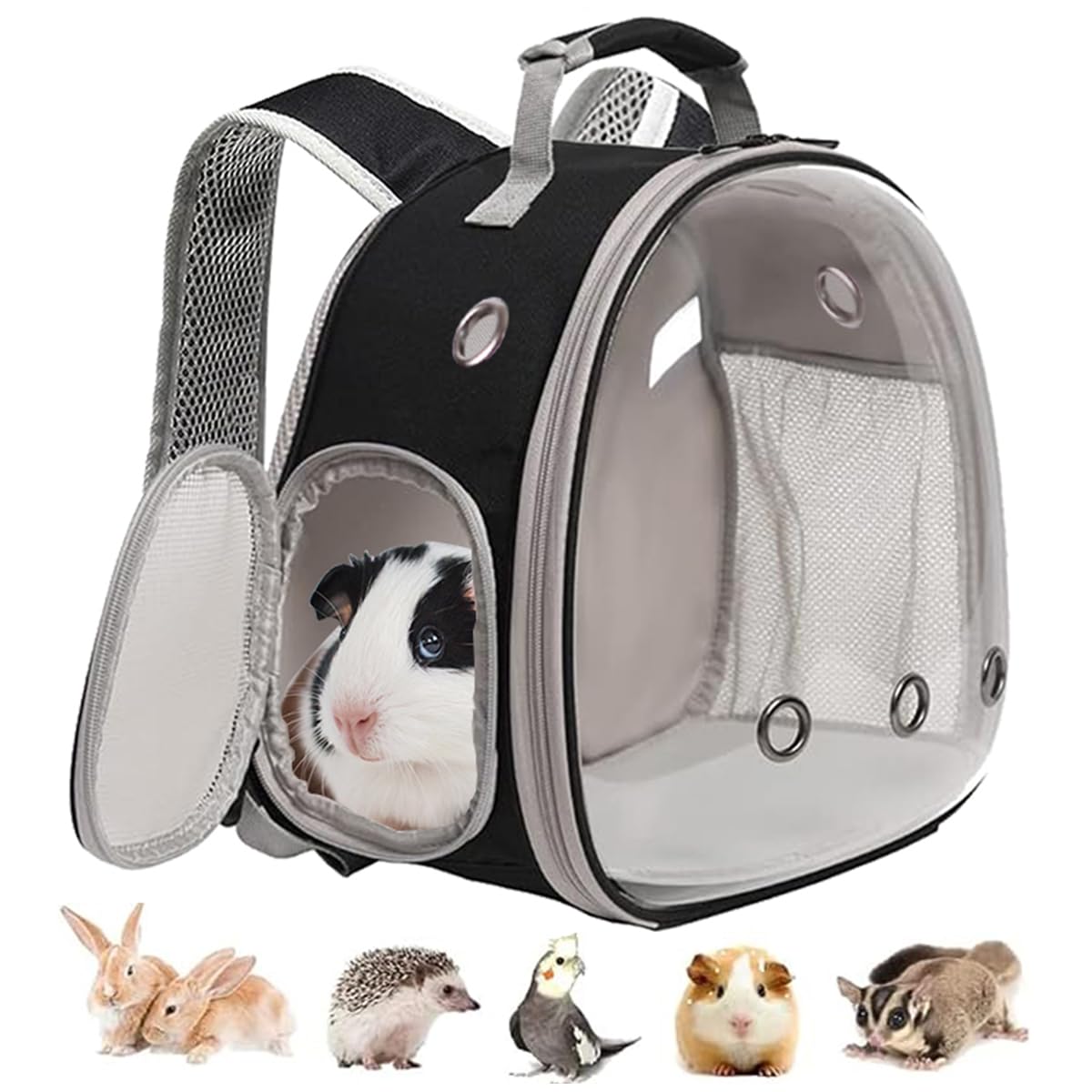 Guinea Pig Backpack, Space Capsule Bubble Window Small Animal Backpack For Guinea Pig, Bird Bunny Rabbit