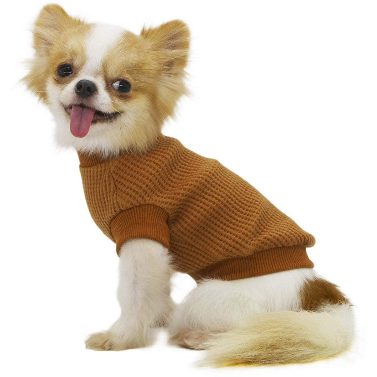 Lophipets Lightweight Dog Sweaters For Puppy Small Dogs Puppy Chihuahua Yorkie Clothes-Yellow/Xl