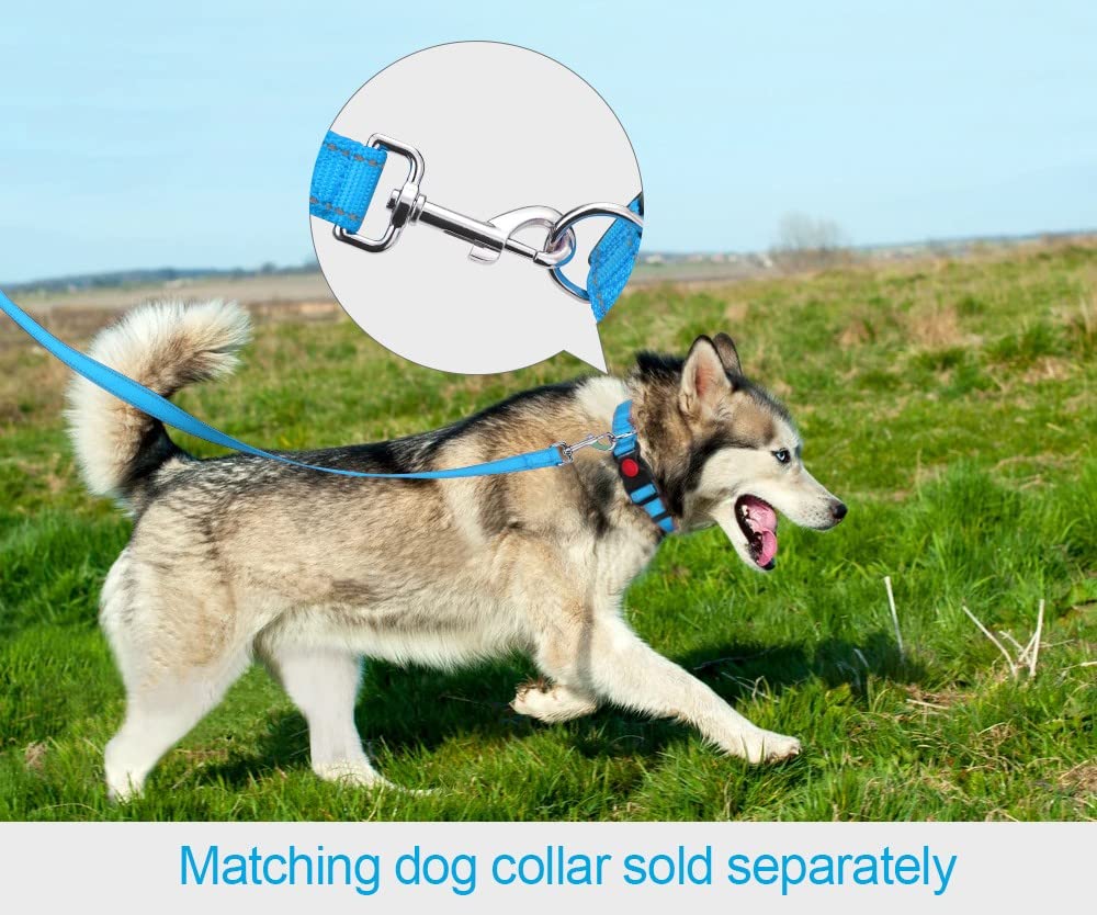Taglory Nylon Dog Leash 6Ft, Soft Padded Handle Pet Reflective Leashes For Medium Large Dogs Walking & Training, Sky Blue