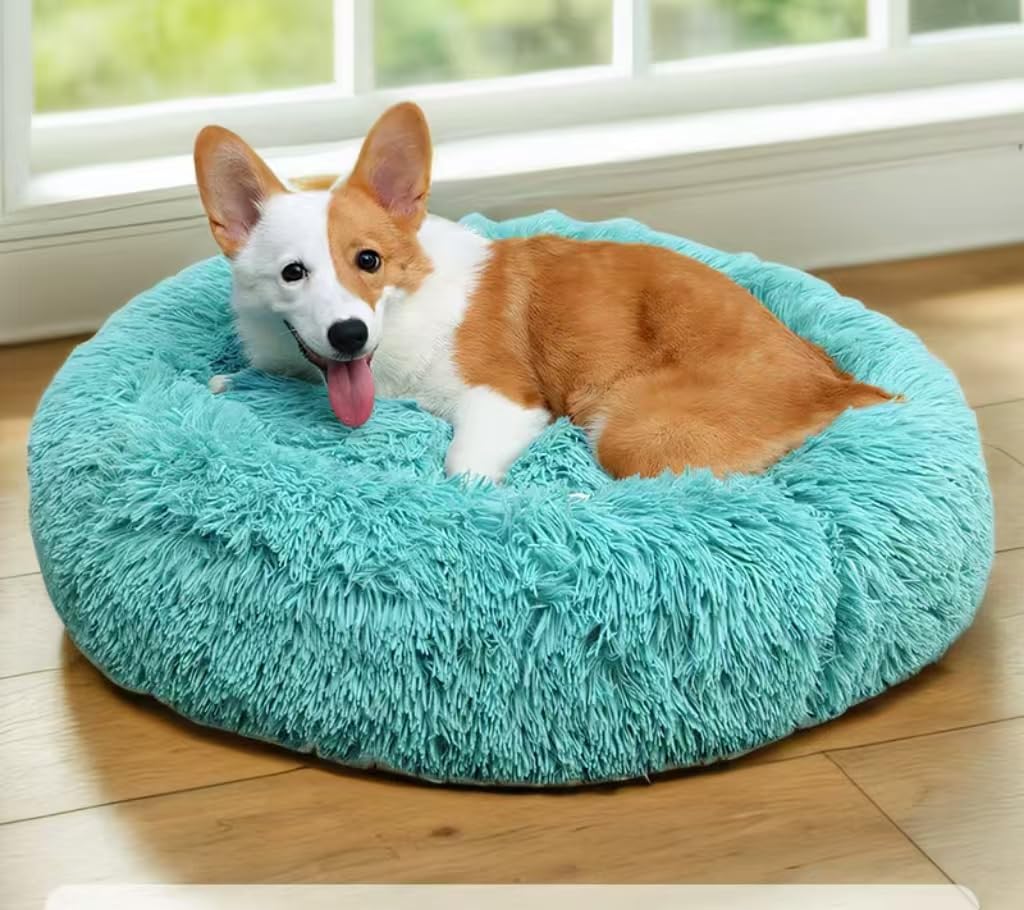 Cat Beds For Indoor Cats - Cat Bed Washable 20/24 Inches, Dog Beds For Small Medium Dogs, Anti Anxiety Round Fluffy Plush Faux Fur Cat Bed, Thick Bottom (Blue, Medium)