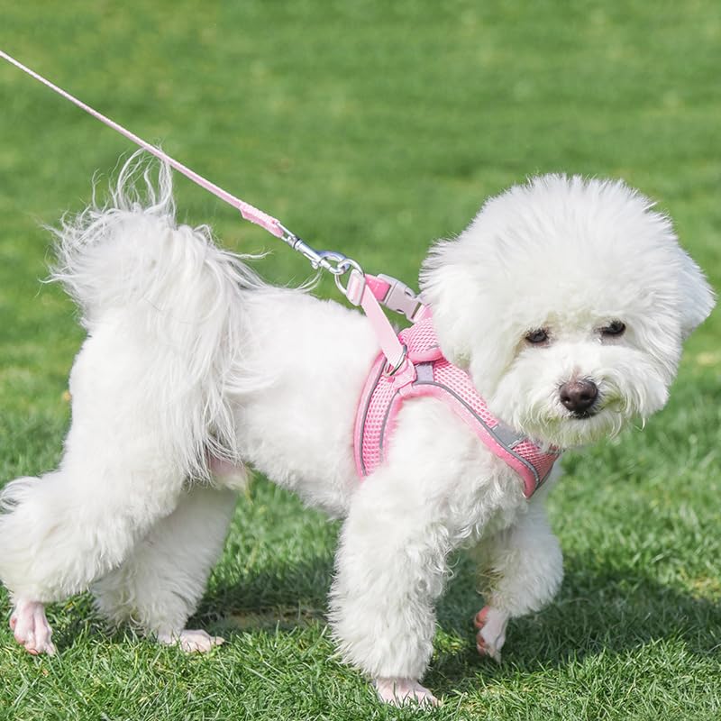 AIITLE Escape Proof Dog Harness - Step in Adjustable Dog Harness No Choke Over with Breathable Mesh for Spring- Outdoor Walking,