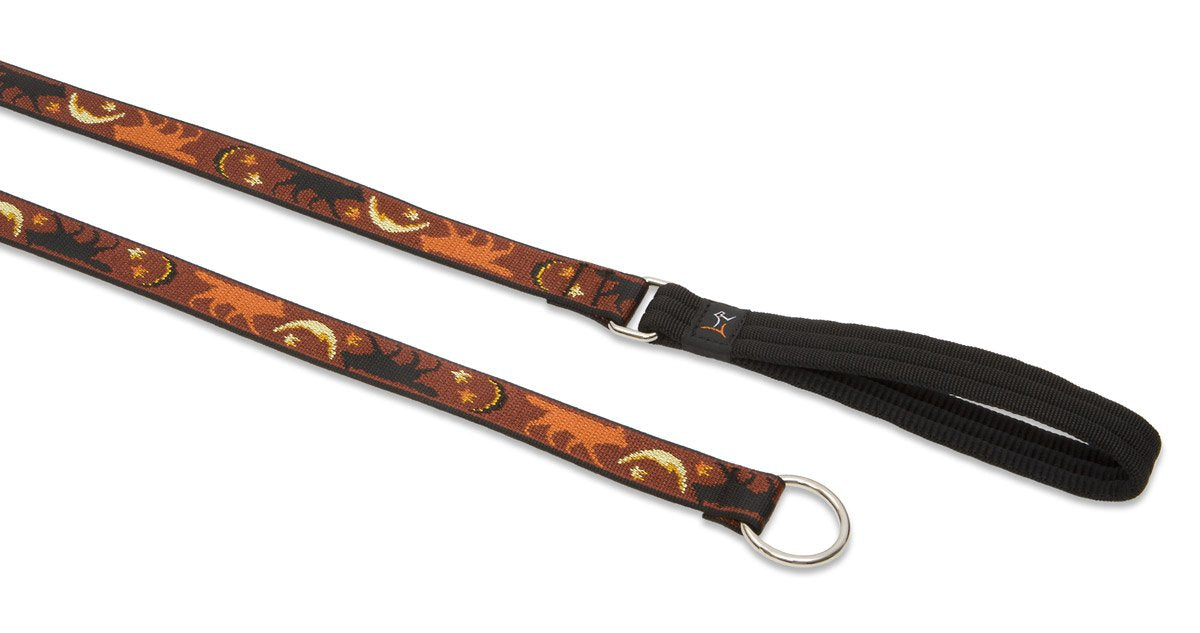 LupinePet Originals 1'' Shadow Hunter 6-foot Slip Lead/Leash for Medium and Larger Dogs