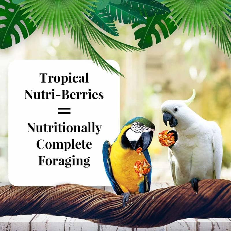 LAFEBER'S Tropical Fruit Nutri-Berries Pet Bird Food, Made with Non-GMO and Human-Grade Ingredients, for Macaws and Cockatoos, 3