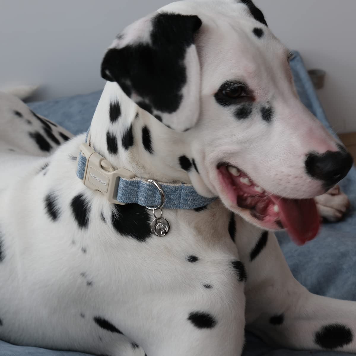 Dogwong Cotton Hemp Dog Collar - Heavy-Duty Adjustable Soft Natural Fabric Pet Collar, Baby Blue Cute Wedding Puppy Necklace For