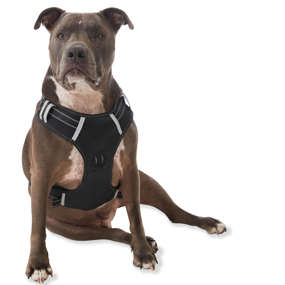 Espawda Padded Comfort Harness With No Pull Design For Small Dogs, Medium Dogs And Big Dogs (Large, Black)