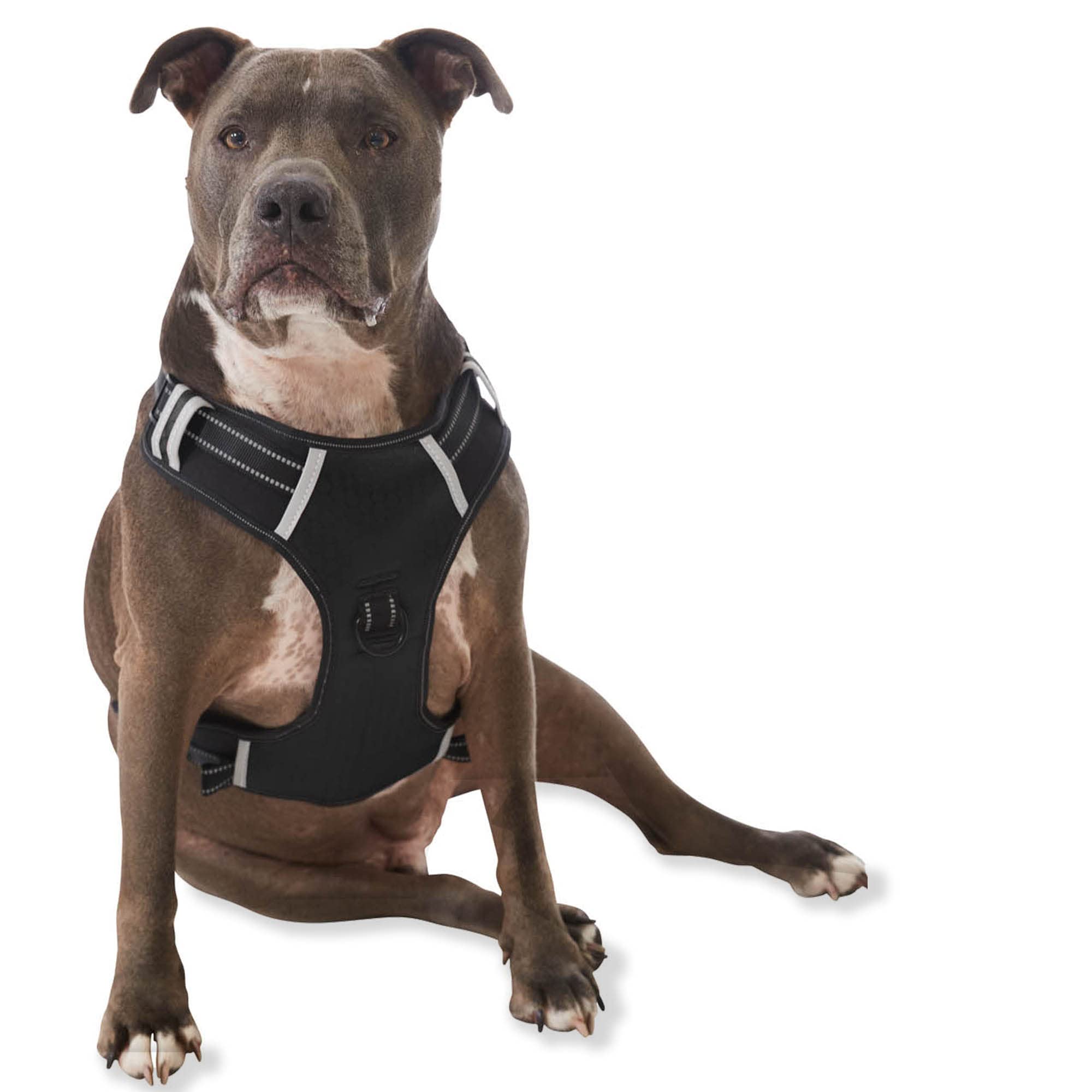 Espawda Padded Comfort Harness With No Pull Design For Small Dogs, Medium Dogs And Big Dogs (X-Large, Black)